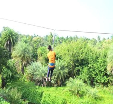 img-1791980240264-3.webp