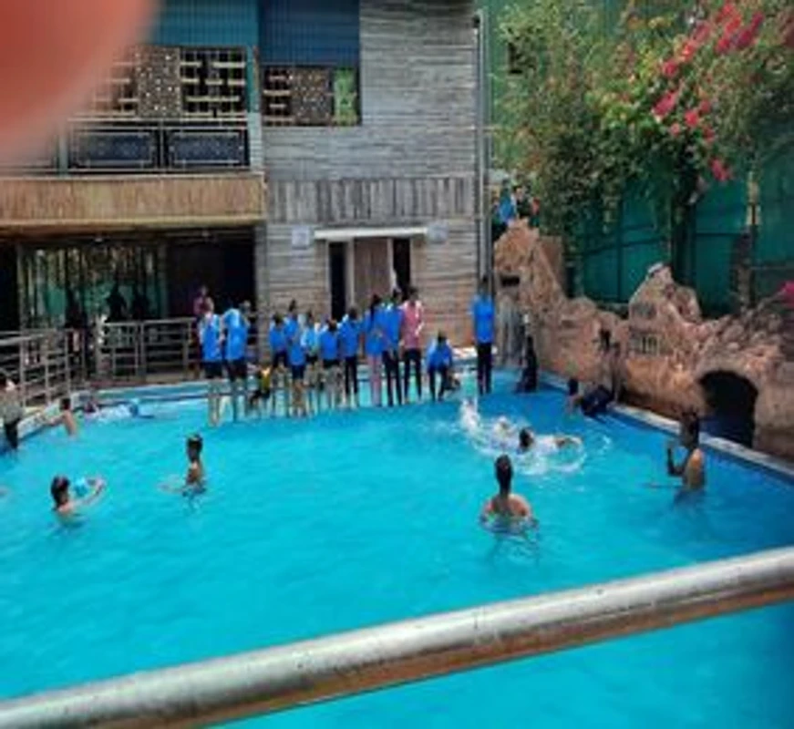 img-1791996981718-1.webp