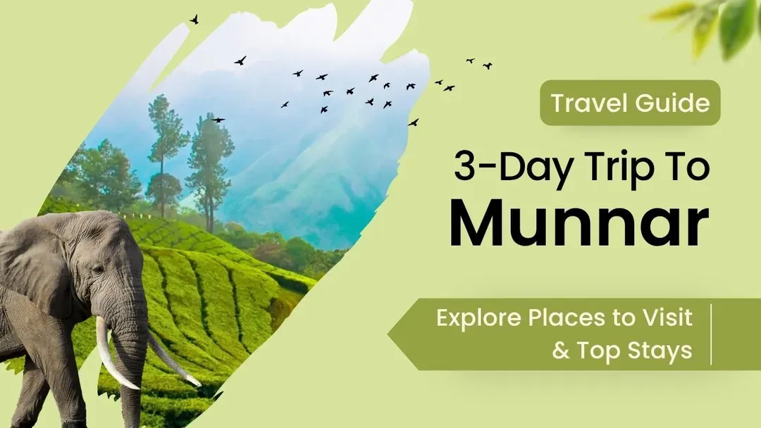 3-day travel guide to munnar. explore the best places to visit and also the top-rated stays.