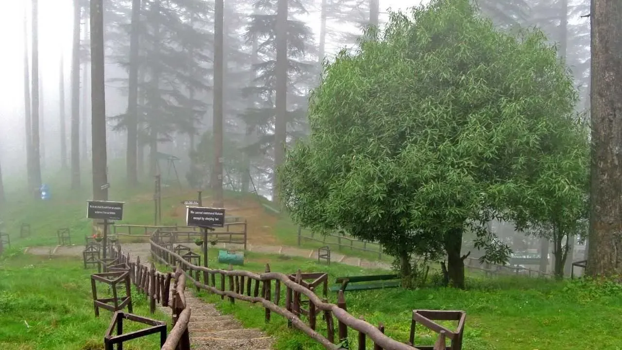 Dhanaulti Eco Park, Uttarakhand