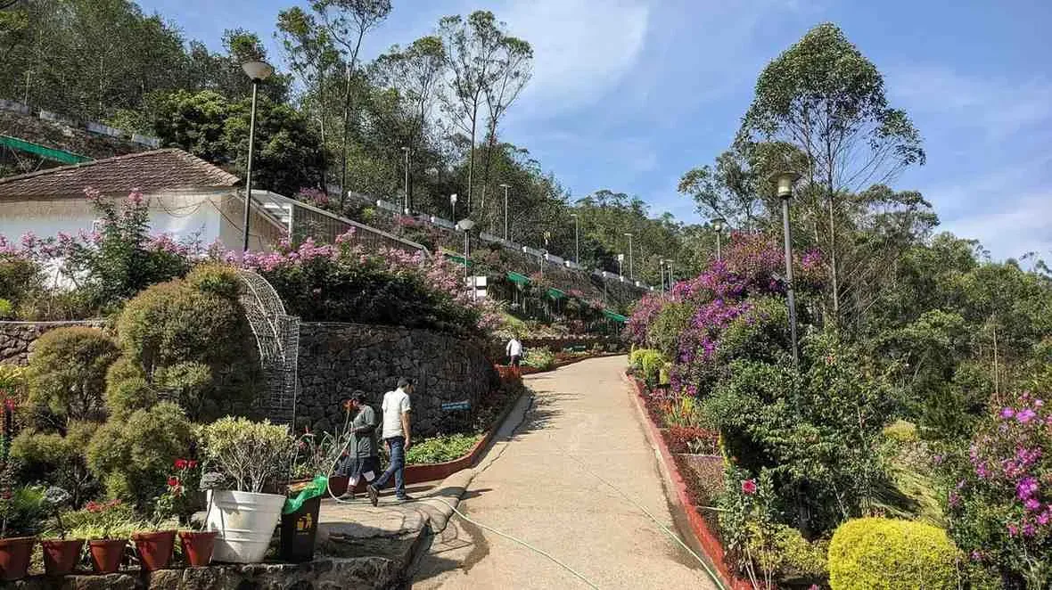 Colourful flowering plants at the Government Botanical Garden, Munnar.