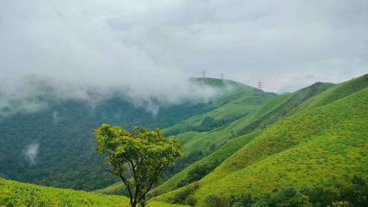 Lush green, hilly landscape of Chikkamagaluru.