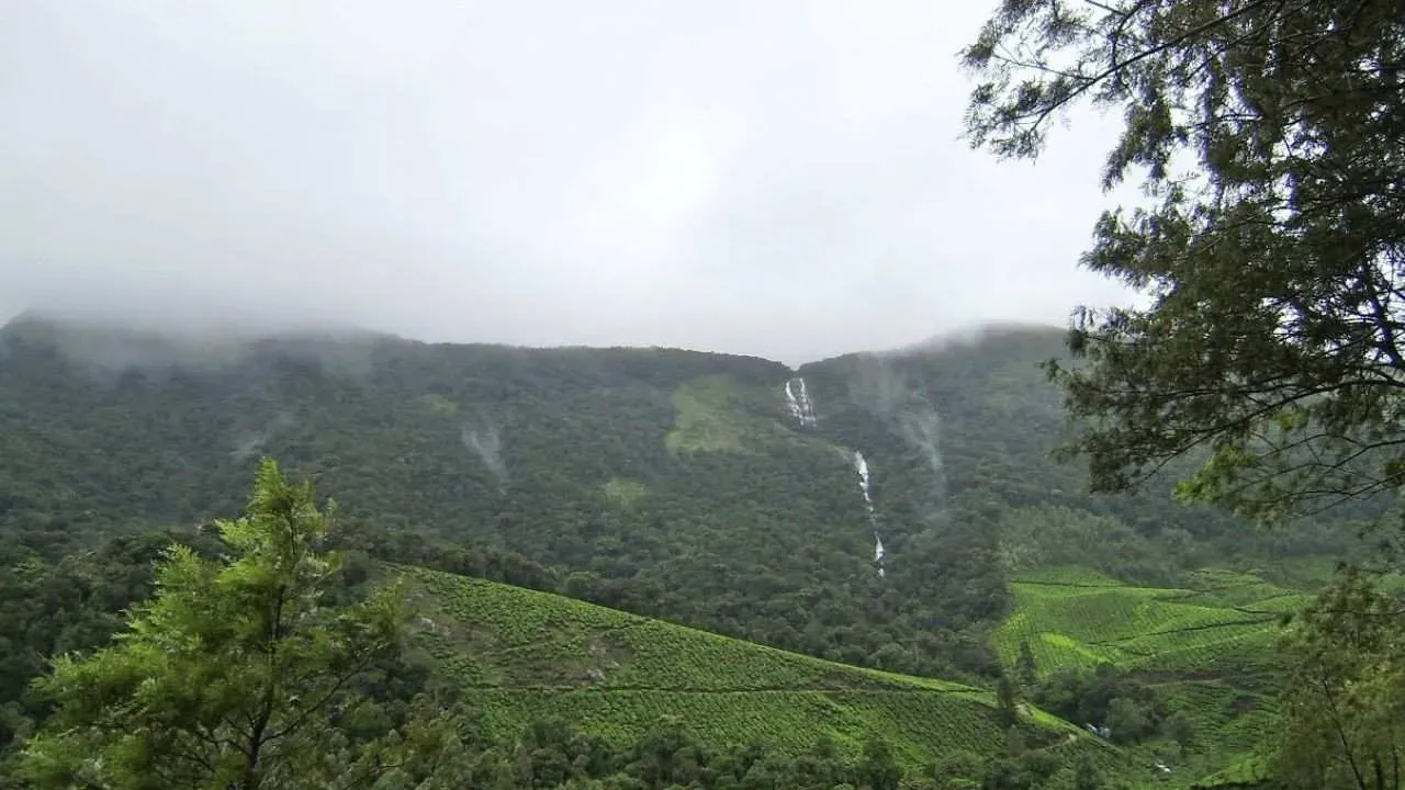 Monsoon in Munnar.