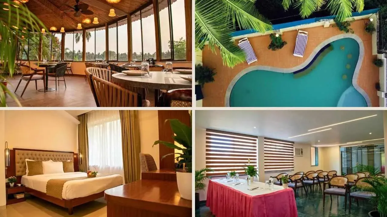 Treehouse Stamp, Adsuli