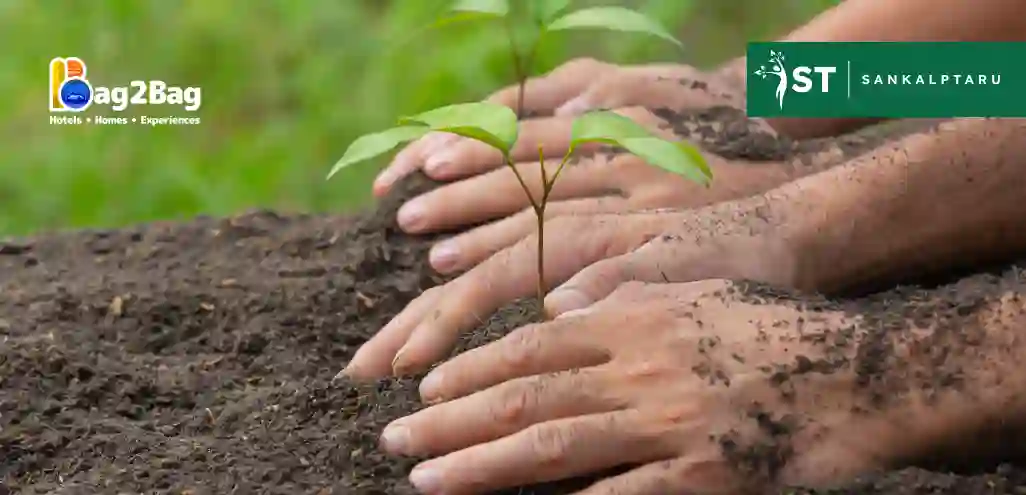 Small Contribution for a greener Tomorrow