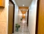 day use hotels in hotel orange tree ahmedabad