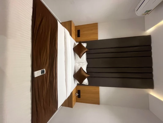 luxury hotel in hotel pulse town ahmedabad