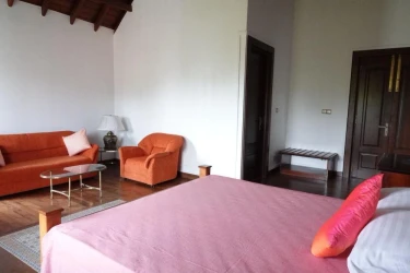 homestay in sea view ward, alleppey for a week - toms homestay