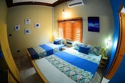 homestay with activities in thumpoly, alleppey - volga lake stay