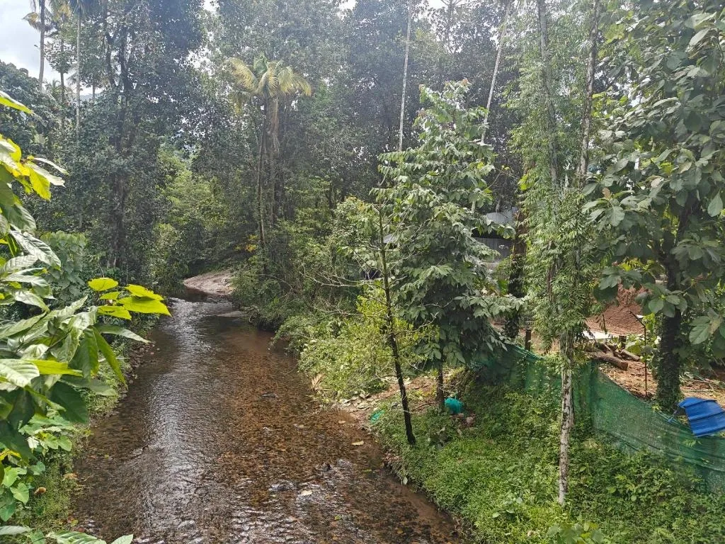 honeymoon hotels in apple land city athirappilly by bestinn leisure athirappilly