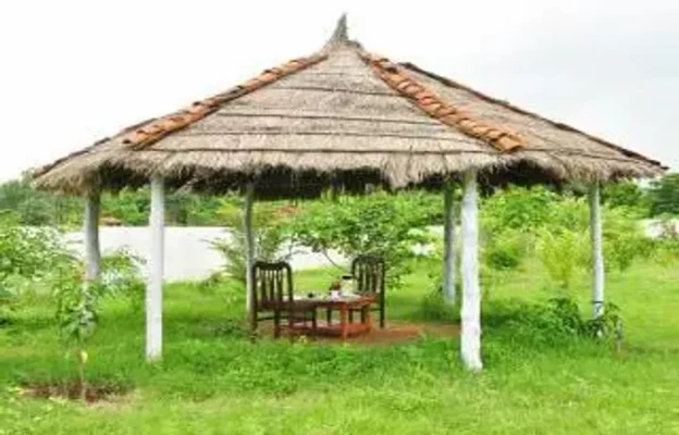 pet friendly resort in tala, bandhavgarh - The Sun Resort