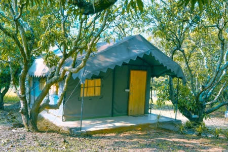 luxury resort in bidadi, bangalore - bana the wild waters