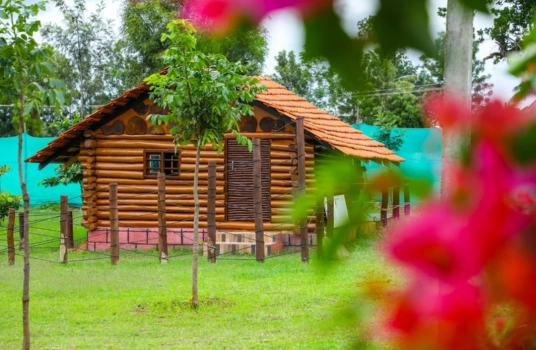 Delightful Day Out (9:00 Am To 6:00 Pm) - At Dejavoo Resort