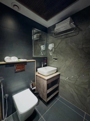 hotels for couple in dhisha inn hotel bangalore