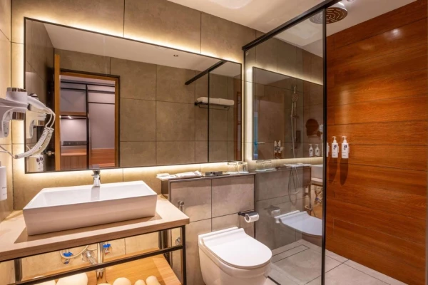 online room booking in yelahanka, bangalore - park inn and suites by radisson