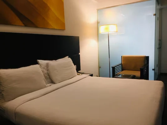 online room booking in shantinagar, bangalore - srs springs hotel and spa