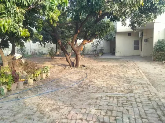 homestay in adampur, bhogpur for a week - highway homestay