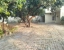 homestay in adampur, bhogpur for a week - highway homestay