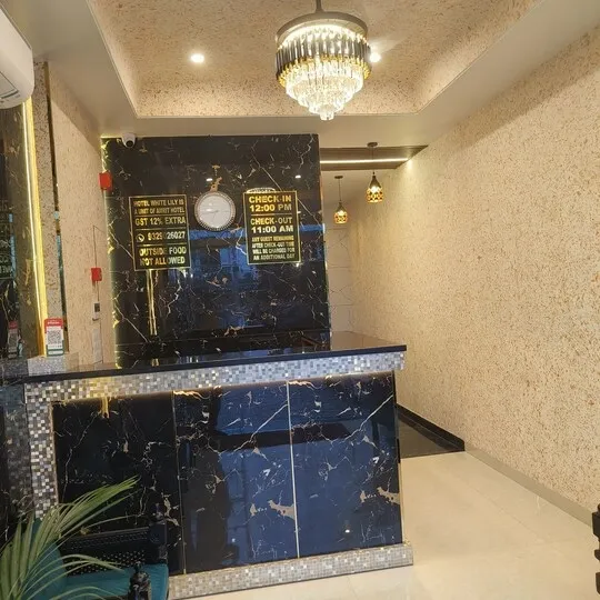 best luxury hotel in hotel white lily (a unit of amrit hotel) bhopal