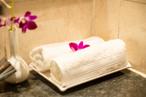 hotel near bhubaneswar airport - odissey suites