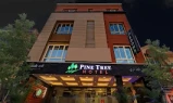 cheap and best hotels in hotel pine tree chennai