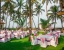 hotel with bar in ecr, chennai - mgm beach resorts