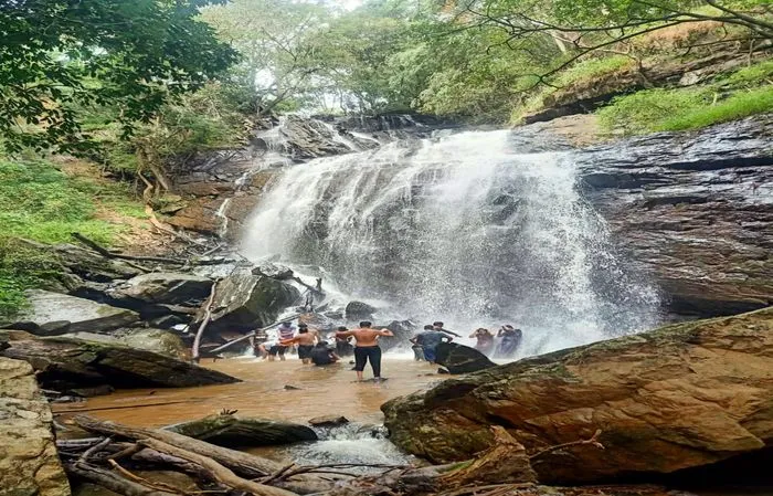 Homestay in handi, chikmagaluru for 20 Members - le mountains homestay