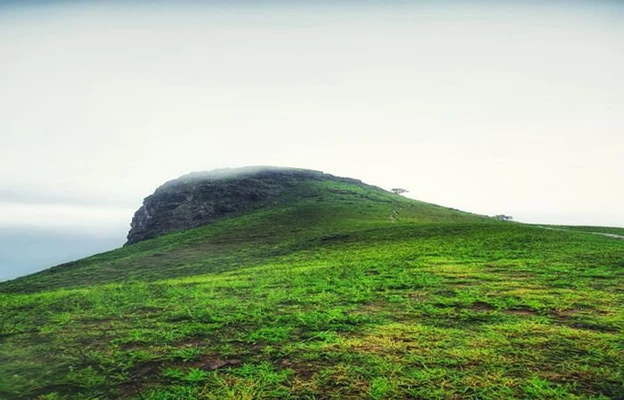 Homestay in banakal hobli devaramane, chikmagaluru for Family - malekaadu retreat