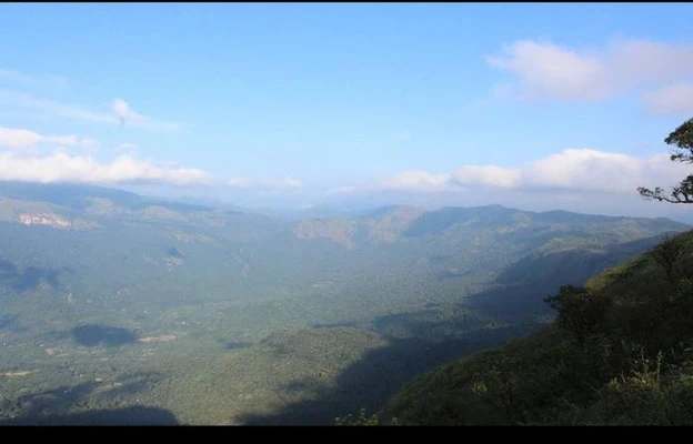 Homestay near railway station in chikmagaluru - malekaadu retreat