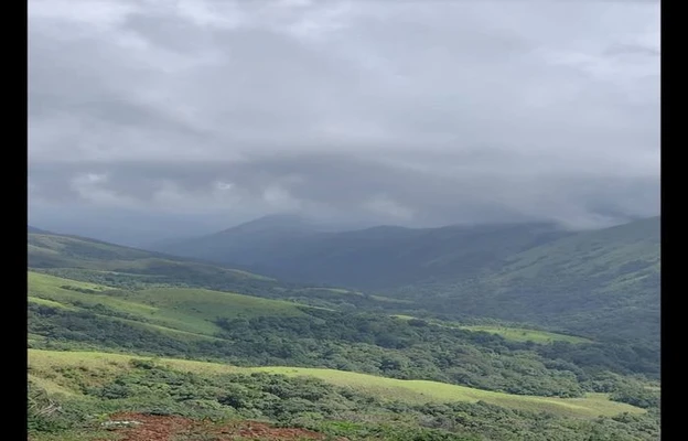 Homestay in banakal hobli devaramane, chikmagaluru - malekaadu retreat