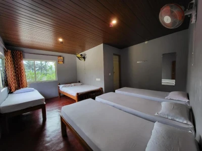 homestay with activities in hesagal, chikmagaluru - rainy cloud homestay