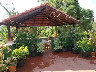 homestay in karthikere, chikmagaluru for couples - the bee hive homestay