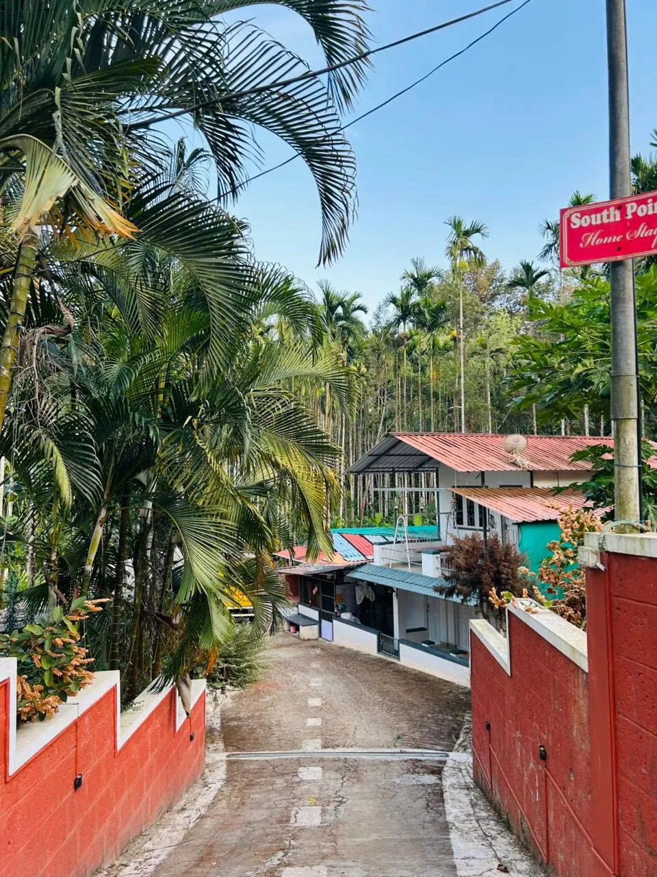 homestay in virajpet, coorg for 20 members - south point homestay