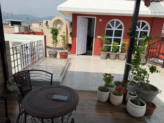 homestay in jogiwala, dehradun for couples - red manor dehradun