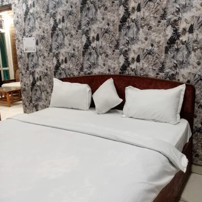 corporate offsite hotels in andaz b&b home stay delhi