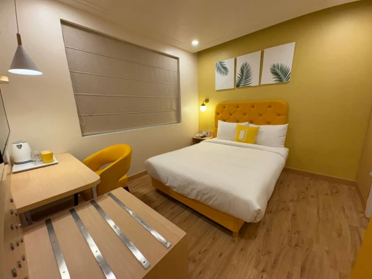 hotel with swimming pool in greater kailash, delhi - bloom hotel m block gk2