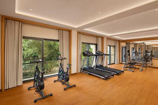 3 star hotels in ginger delhi chanakyapuri delhi