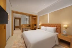 best 5 star hotels in ginger delhi chanakyapuri delhi