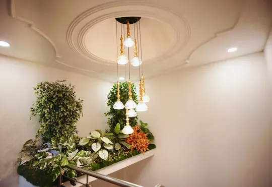 hotels for couple in hari's court inns & hotels lajpat nagar delhi