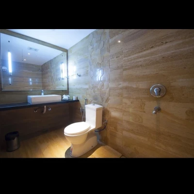 business hotels in hotal aura suite delhi