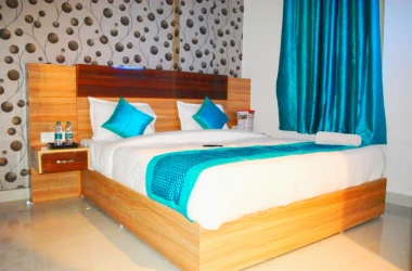hotel stay in hotel alpha stay delhi