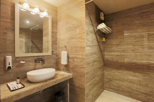 day time hotels in hotel cardinal express oxmo delhi airport delhi