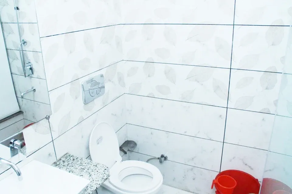 hotel stay in hotel d - dreamz suites delhi