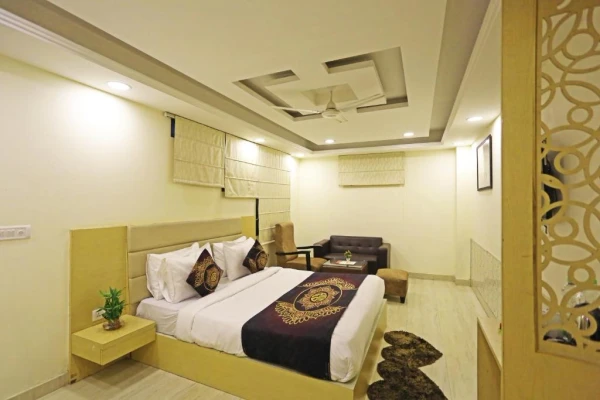 best budget hotels in hotel d'capitol - delhi airport delhi