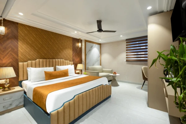 star hotels in hotel deluxe stay inn delhi airport delhi