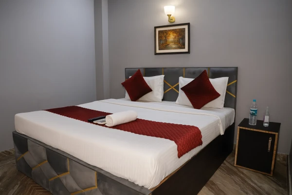 hotel near delhi airport - mauryan express hotel devil khanpur