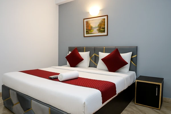 hotel with meeting room in khanpur, delhi - mauryan express hotel devil khanpur
