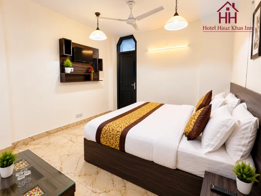hotel with swimming pool in hauz khas, delhi - hotel hauzkhas inn