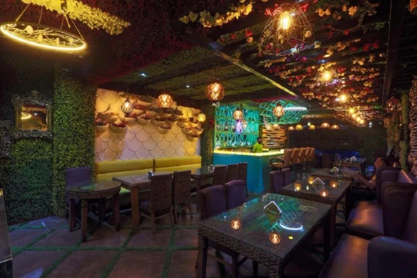 hotel near delhi railway station - hotel jageer palace bawana