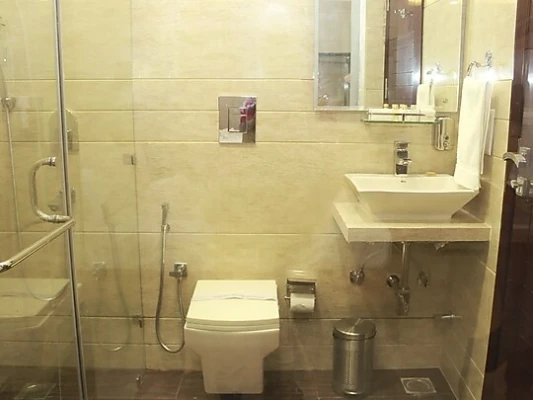 luxury hotel in hotel laffaire delhi